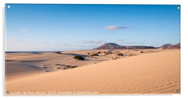 Sand Dunes Corralejo Fuerteventura evening light Acrylic by Chris Warren