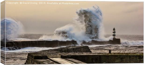 Storm at Seaham Canvas Print by David Irving