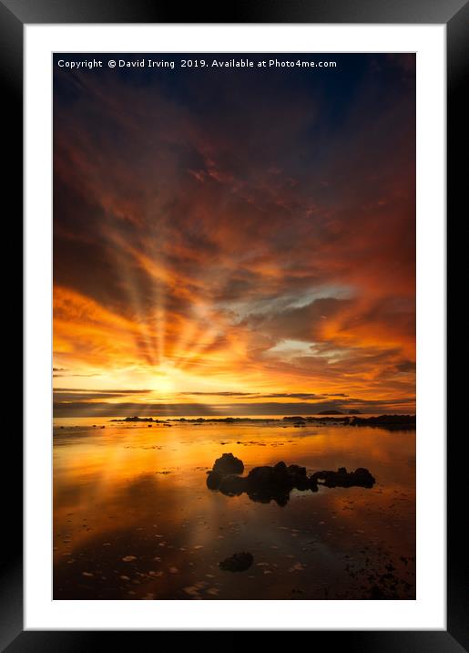 Sunrise over Bass Rock Framed Mounted Print by David Irving