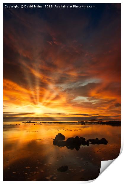 Sunrise over Bass Rock Print by David Irving