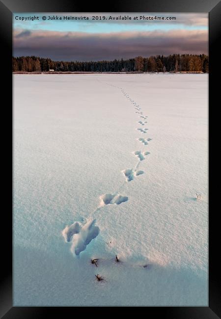 Footprints On The Snow Framed Print by Jukka Heinovirta