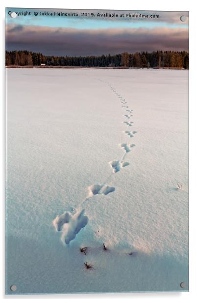 Footprints On The Snow Acrylic by Jukka Heinovirta