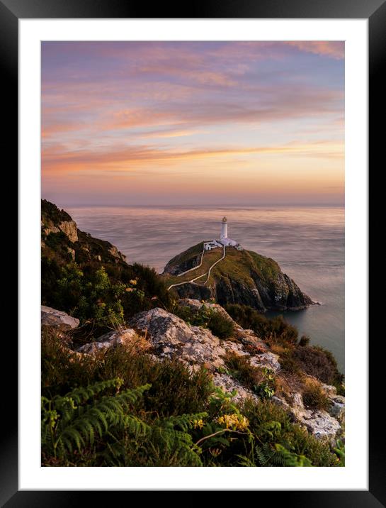 South Stack  Framed Mounted Print by Daniel kenealy