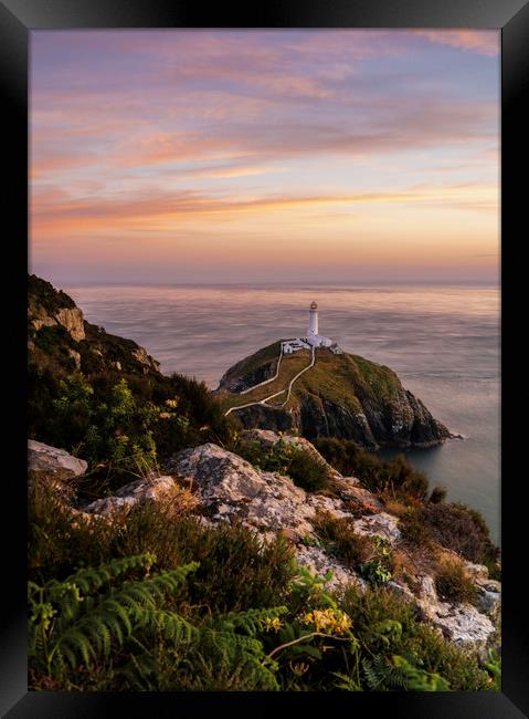 South Stack  Framed Print by Daniel kenealy