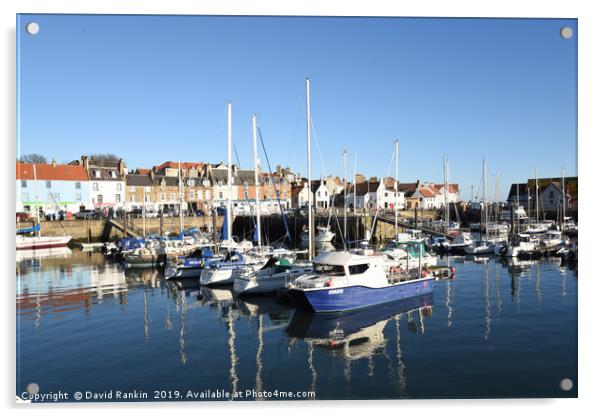 Anstruther harbour , Fife , Scotland Acrylic by Photogold Prints