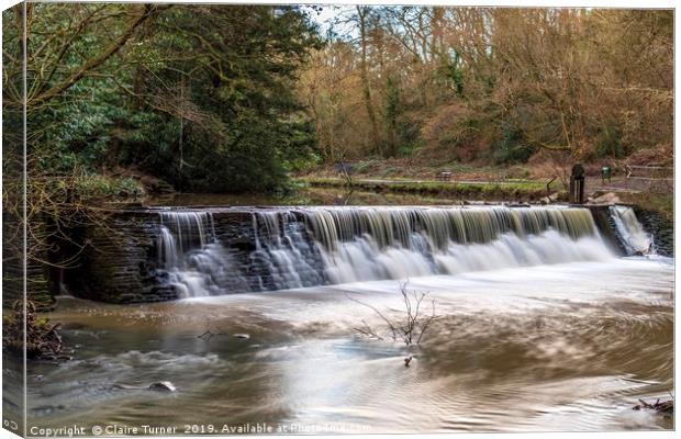 River Frome at Snuff Mills Canvas Print by Claire Turner