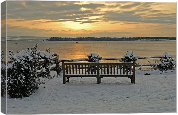 A Winter's Seat Canvas Print by Ray Lewis