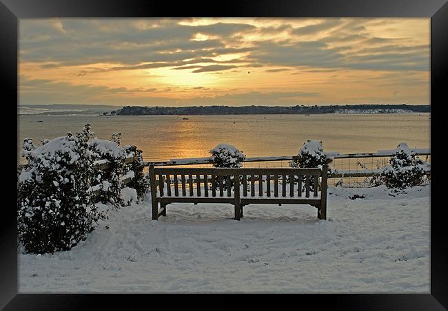 A Winter's Seat Framed Print by Ray Lewis