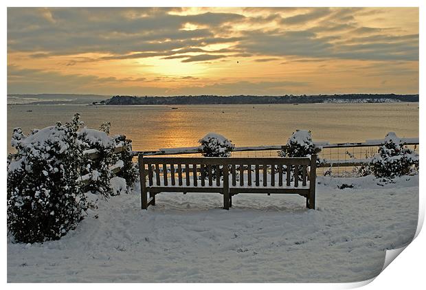 A Winter's Seat Print by Ray Lewis