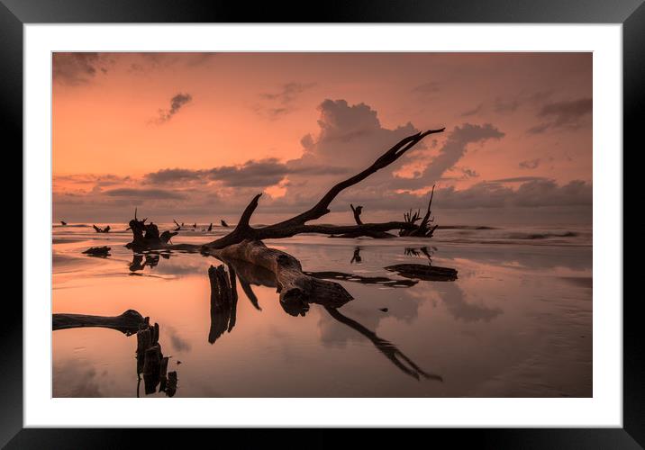 The Boneyard Framed Mounted Print by DiFigiano Photography