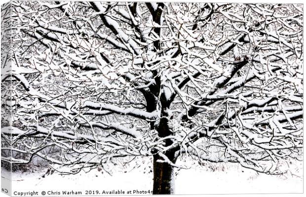 Tree with snow - black and white high contrast Canvas Print by Chris Warham