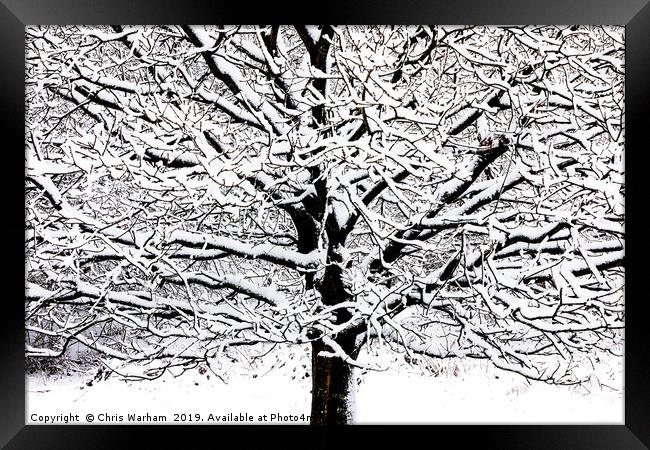 Tree with snow - black and white high contrast Framed Print by Chris Warham