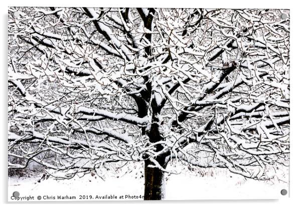 Tree with snow - black and white high contrast Acrylic by Chris Warham