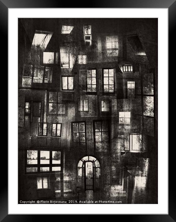 Views From Insides Bw Framed Mounted Print by Florin Birjoveanu