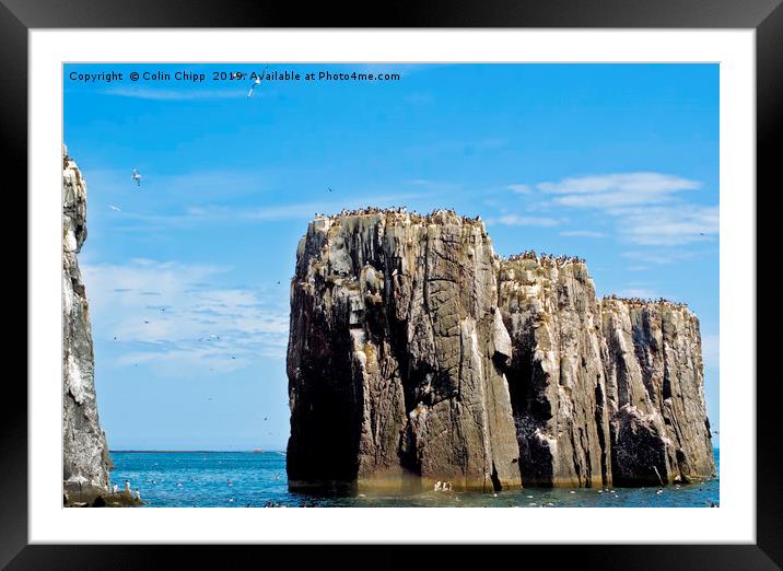 The Pinnacles Framed Mounted Print by Colin Chipp