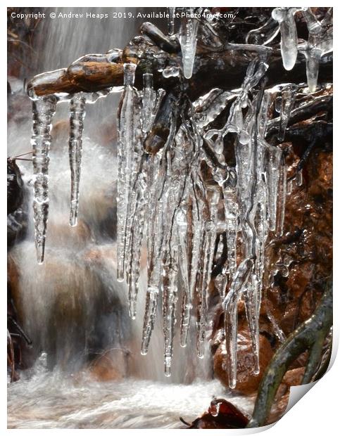 Natures Dripping Jewels Print by Andrew Heaps
