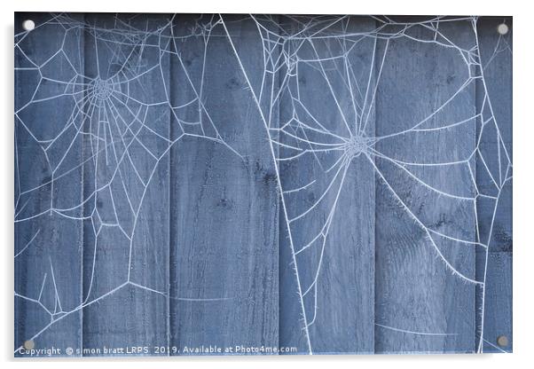 Spiders web on fence with winter ice Acrylic by Simon Bratt LRPS