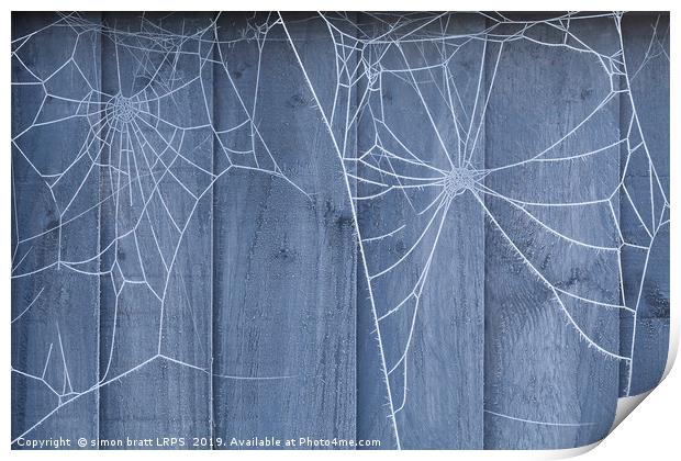 Spiders web on fence with winter ice Print by Simon Bratt LRPS