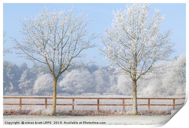 Two trees in a deep frozen winter Print by Simon Bratt LRPS