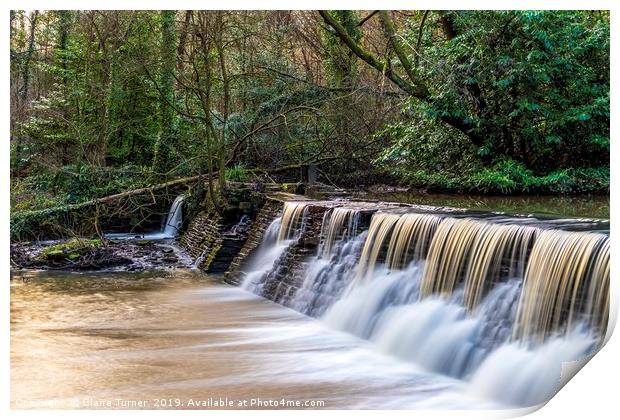 Woodland waterfall  Print by Claire Turner