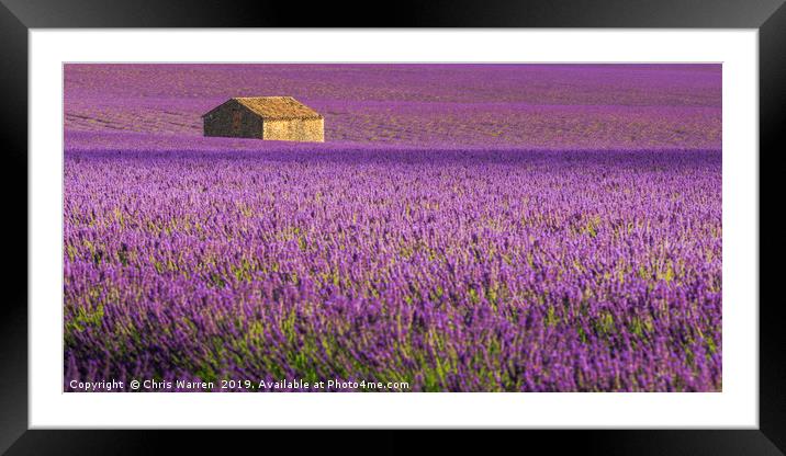 Lavender Fields Valensole France Framed Mounted Print by Chris Warren
