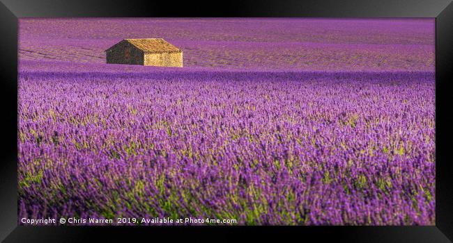 Lavender Fields Valensole France Framed Print by Chris Warren