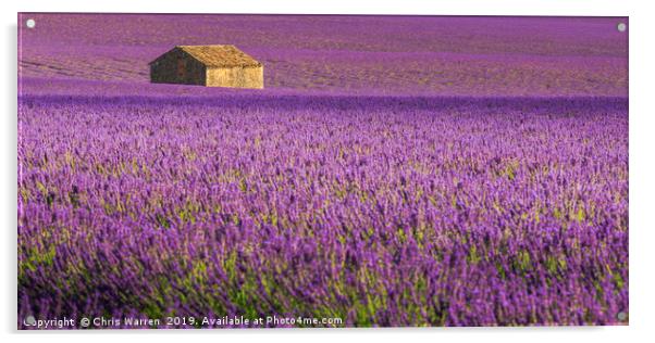 Lavender Fields Valensole France Acrylic by Chris Warren