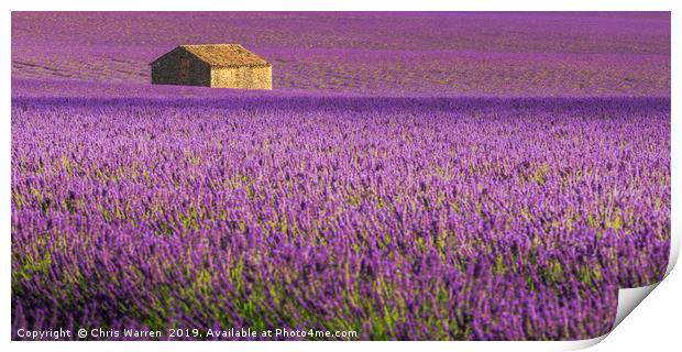 Lavender Fields Valensole France Print by Chris Warren