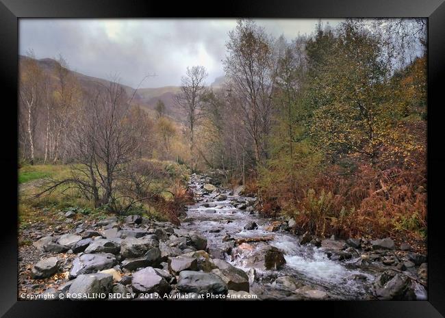 "Autumn mists in Thirlmere" Framed Print by ROS RIDLEY
