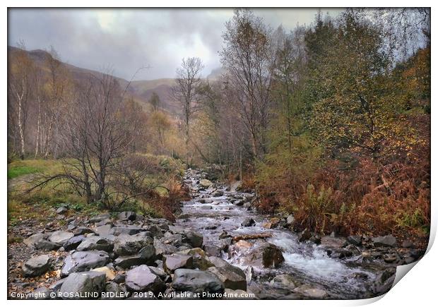 "Autumn mists in Thirlmere" Print by ROS RIDLEY