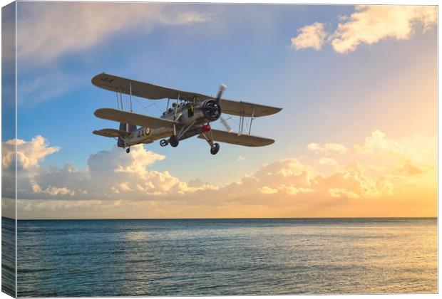 Fairey Swordfish W5856  Canvas Print by Stephen Ward