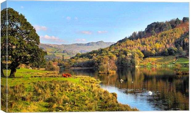 Rydal Water Canvas Print by Irene Burdell