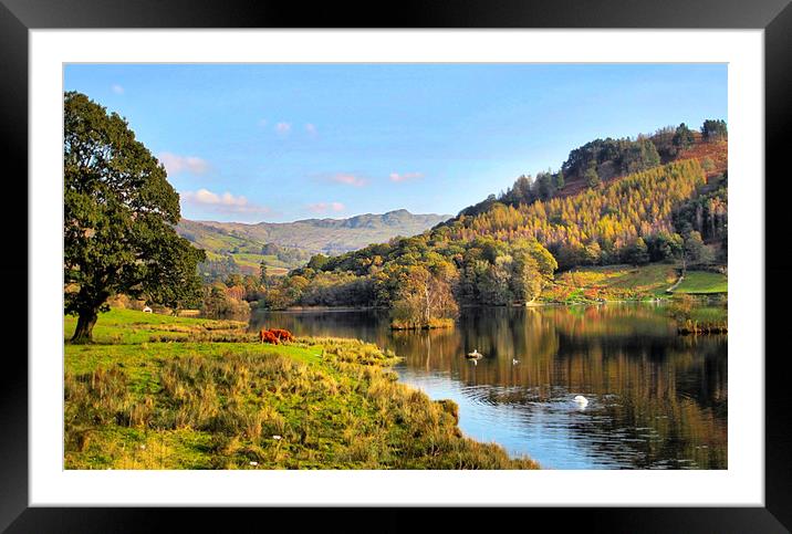 Rydal Water Framed Mounted Print by Irene Burdell