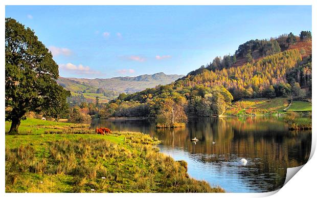 Rydal Water Print by Irene Burdell