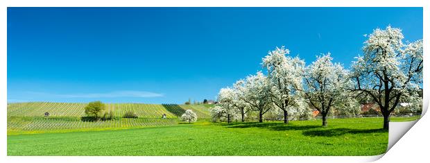 Spring Will Surely Come Print by DiFigiano Photography