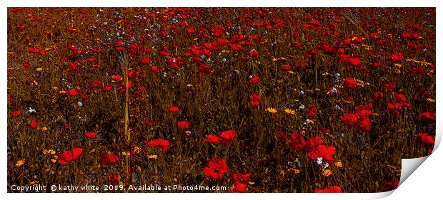A field of red  flowering poppies  inCornwall  Print by kathy white