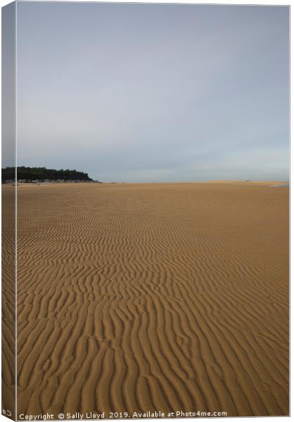 Sand Ripples at Wells-next-the-Sea  Canvas Print by Sally Lloyd