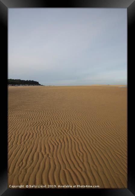 Sand Ripples at Wells-next-the-Sea  Framed Print by Sally Lloyd
