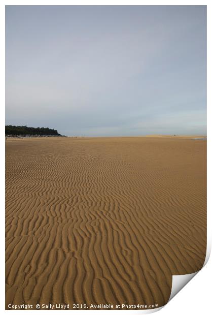 Sand Ripples at Wells-next-the-Sea  Print by Sally Lloyd