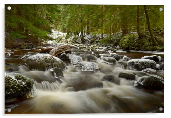 Reelig Glen Acrylic by Macrae Images