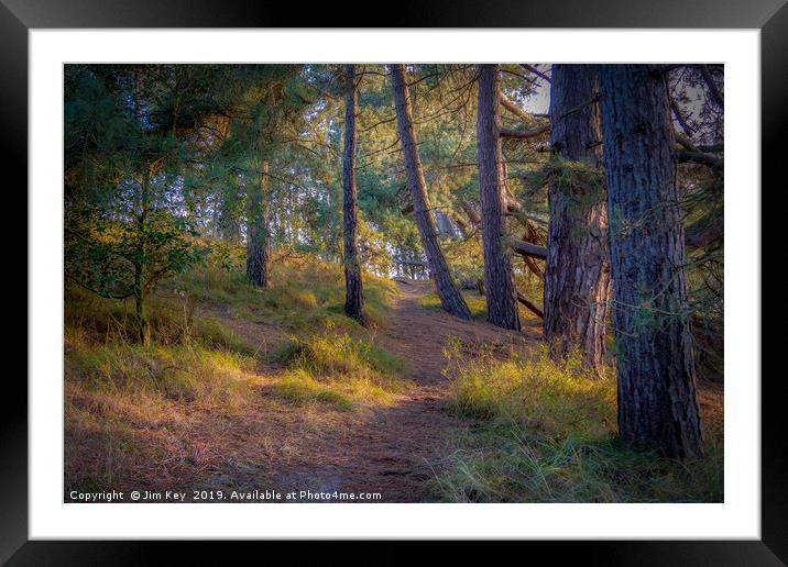 A Serene Walk Through Norfolks Pine Woods Framed Mounted Print by Jim Key