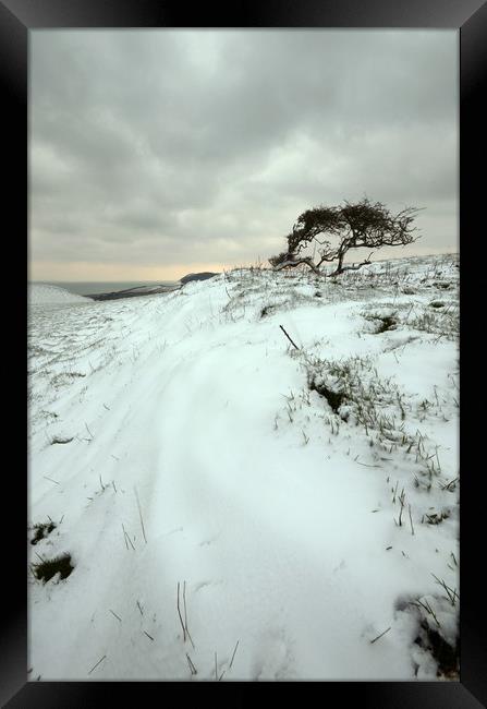 Quarry Hill Snowscape Framed Print by David Neighbour