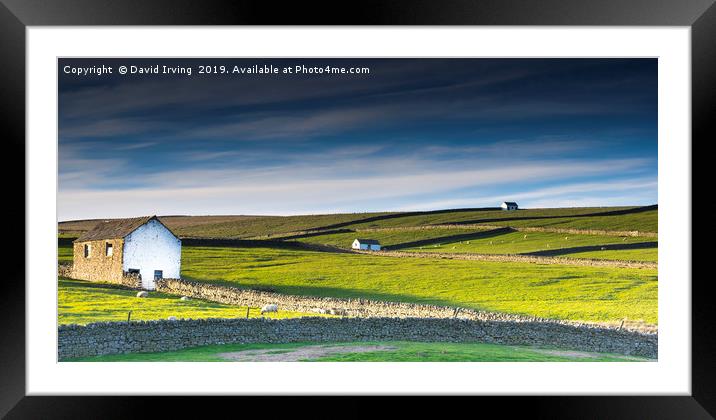 Dry Stone Walls Framed Mounted Print by David Irving