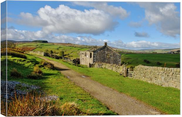 Ruins on the Bronte Way Canvas Print by Diana Mower