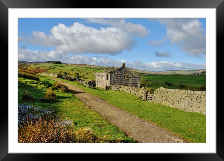 Ruins on the Bronte Way Framed Mounted Print by Diana Mower