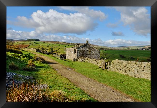 Ruins on the Bronte Way Framed Print by Diana Mower