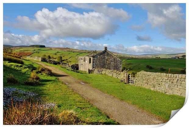 Ruins on the Bronte Way Print by Diana Mower