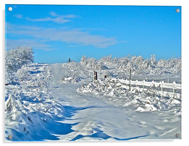Winter on the Ranch Acrylic by Irina Walker
