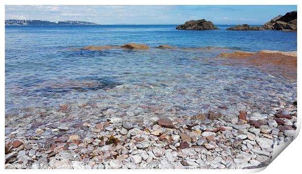 Clear turquoise water at Breakwater Beach Brixham Print by Rosie Spooner