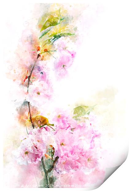 Cherry Blossom Print by Ann Garrett